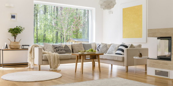 Compraventa de Inmuebles en Villavieja del Lozoya · Pisos