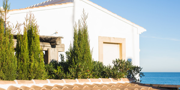 Inversores, Intermediarios, Agentes y Brokers Inmobiliarios en La Acebeda · Casas de Playa